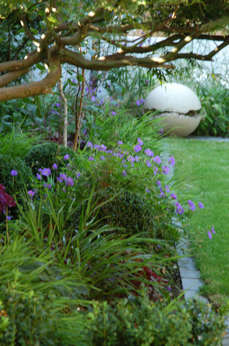  Geraniums, box and ferns